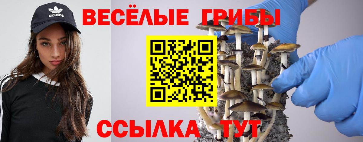 Псилоцибиновые грибы Psilocybine cubensis Ахтубинск